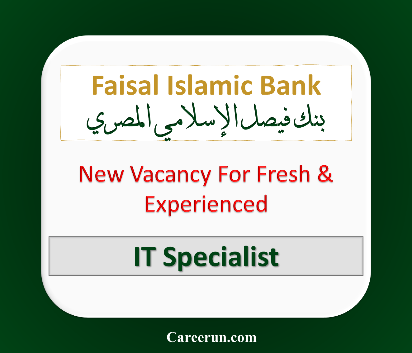 faisal islamic bank it